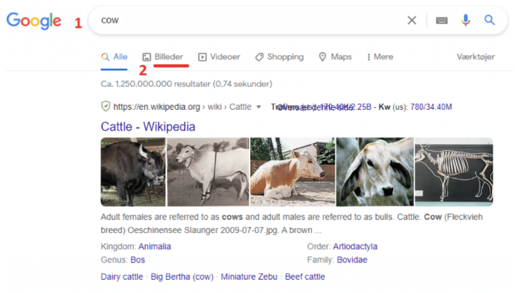En illustration af, hvordan du kan bruge Google Image Search.